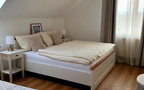 Penzion Apartmány Libošovice